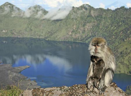 Indonesien, Sdostasien, Tropen: Abenteuer Vulkantrekking auf Sumatra, Java, Bali und Lombok